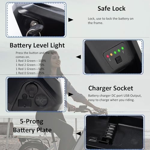 48V 10AH Lithium Electric Bike Battery with Charger Z842999