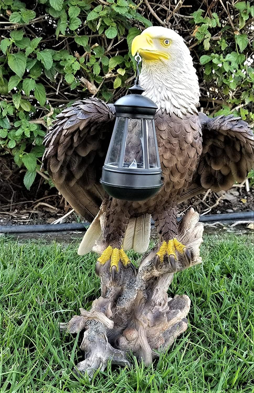Solar American Bald Eagle Statue with Solar Light E575674