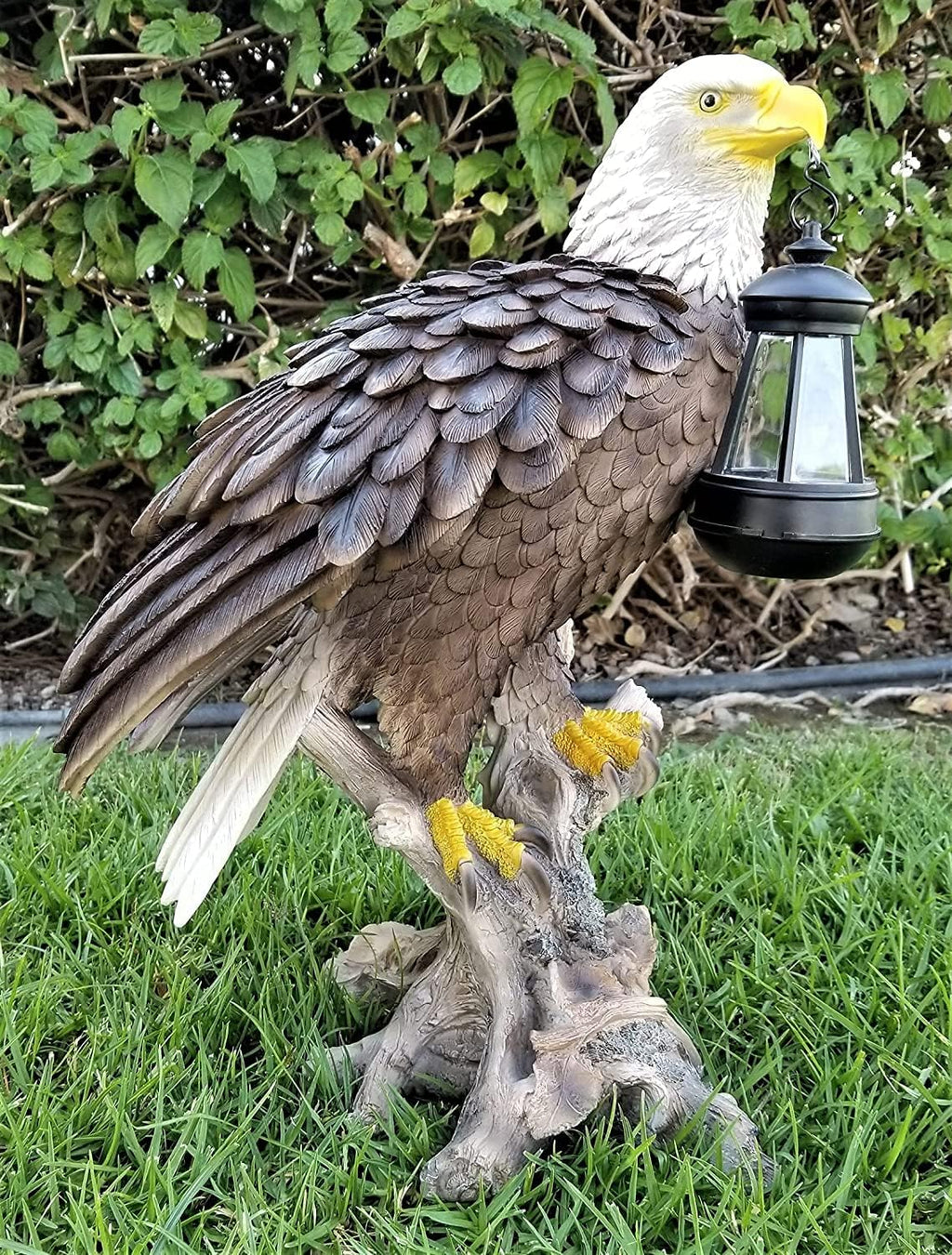 Solar American Bald Eagle Statue with Solar Light E575674