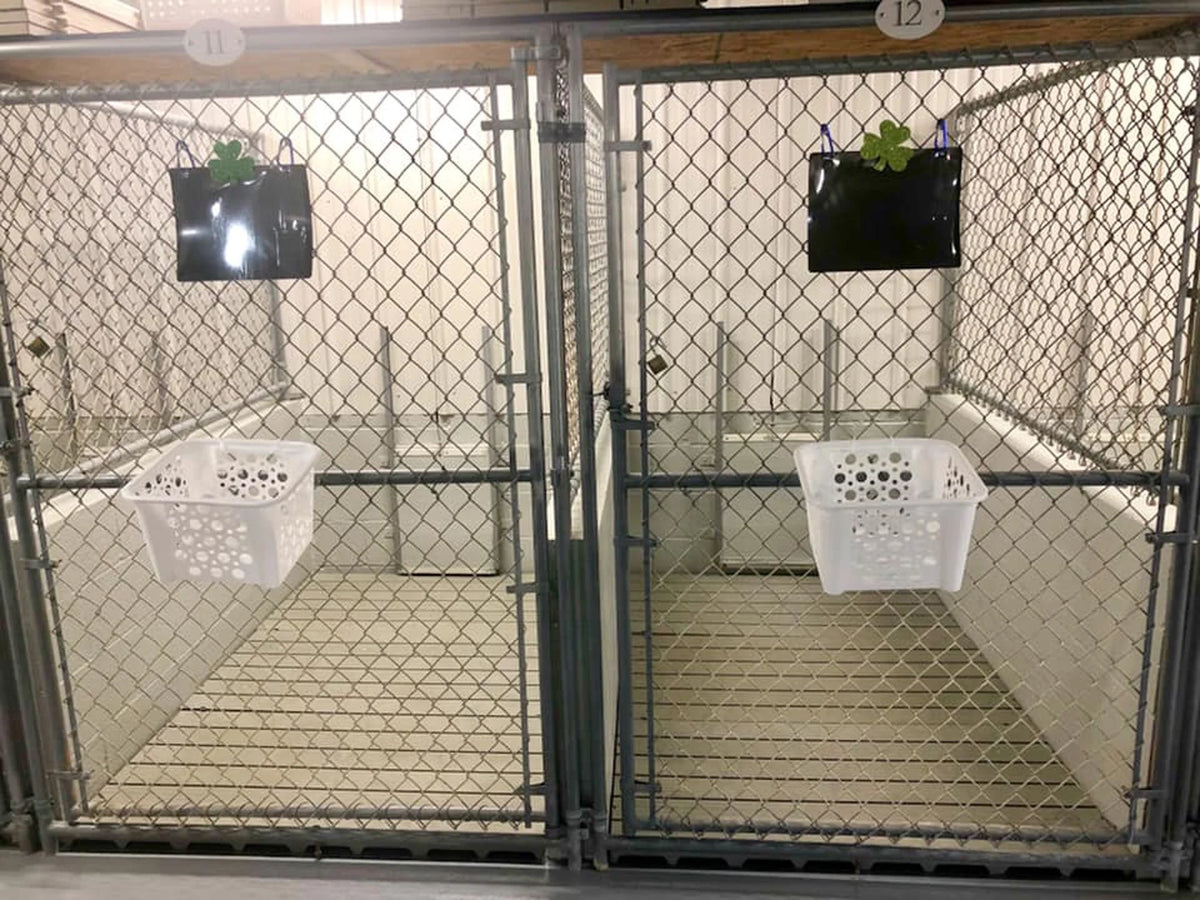 1 pack Kennel Deck U8055