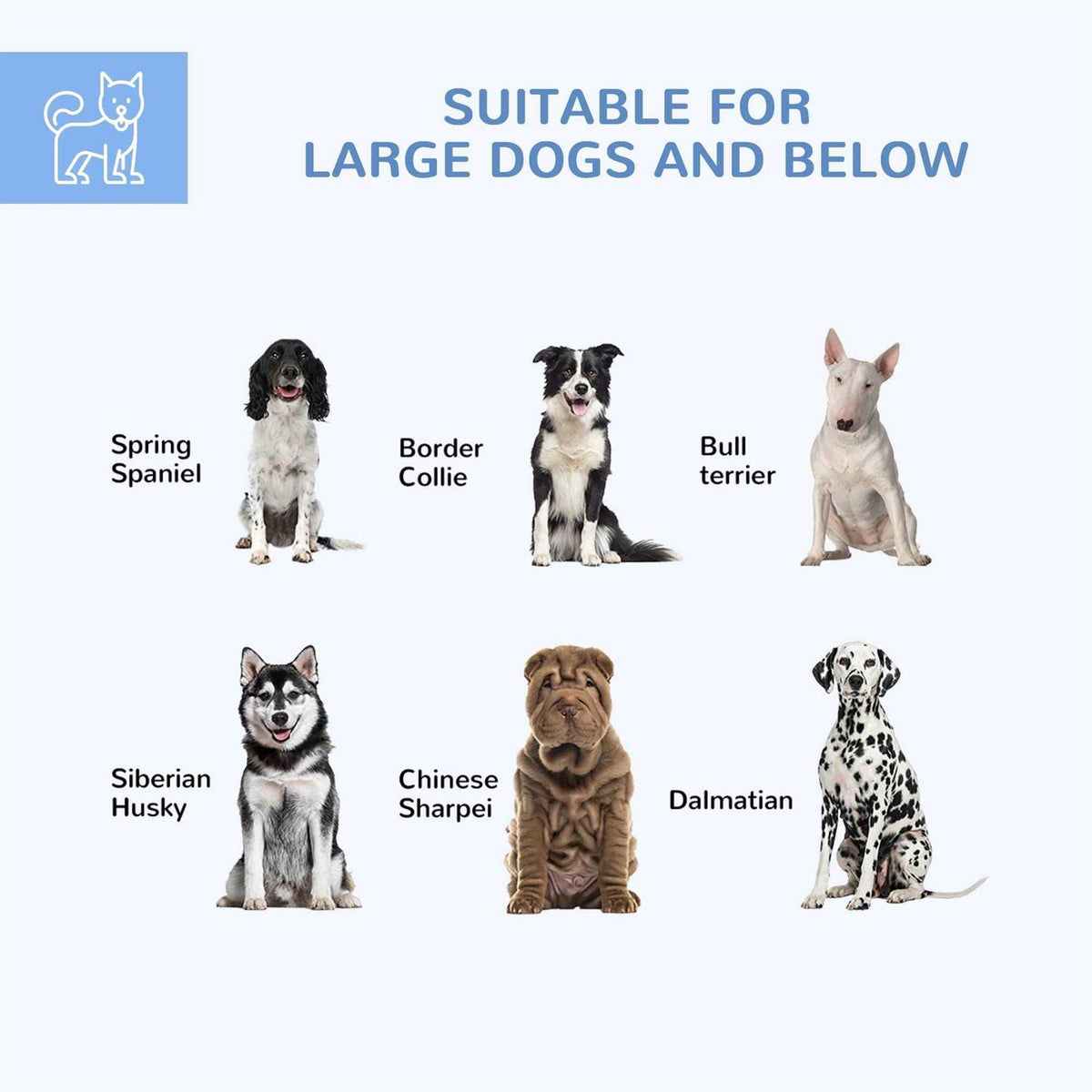 Large Outdoor Dog Kennel with Waterproof UV Resistant Roof M31519