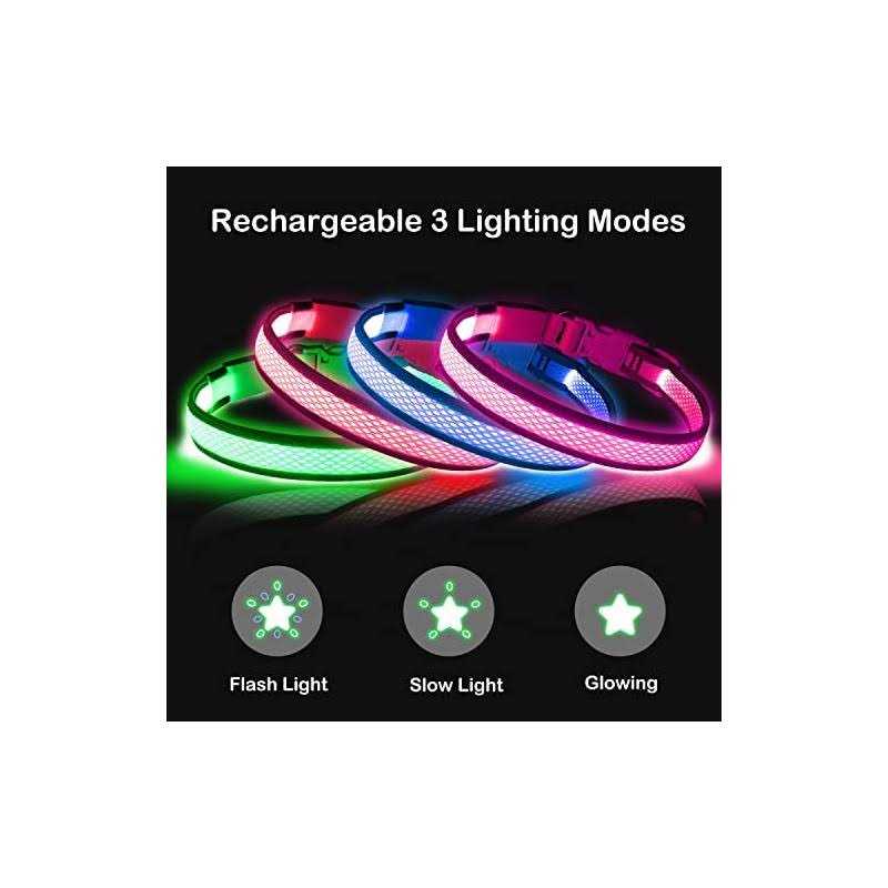 LED USB Rechargeable Dog Collar W2600