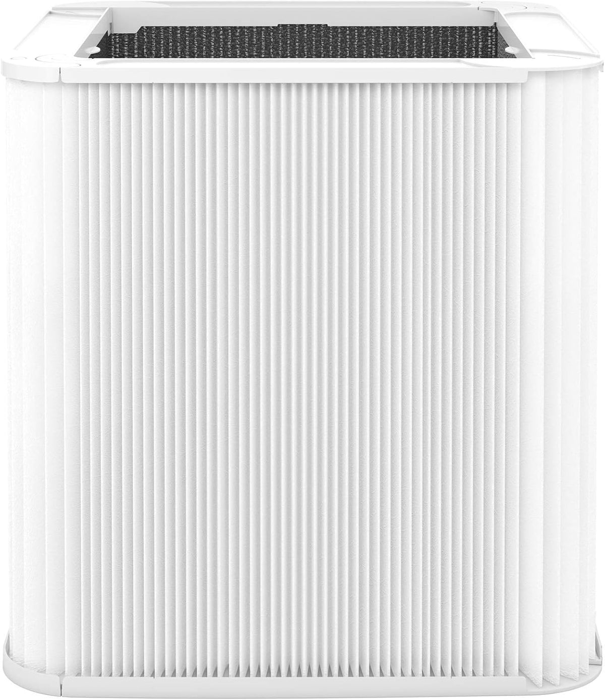 Replacement Particle and Carbon Filter for Blue Pure 211+ Auto Pack of 2 E918