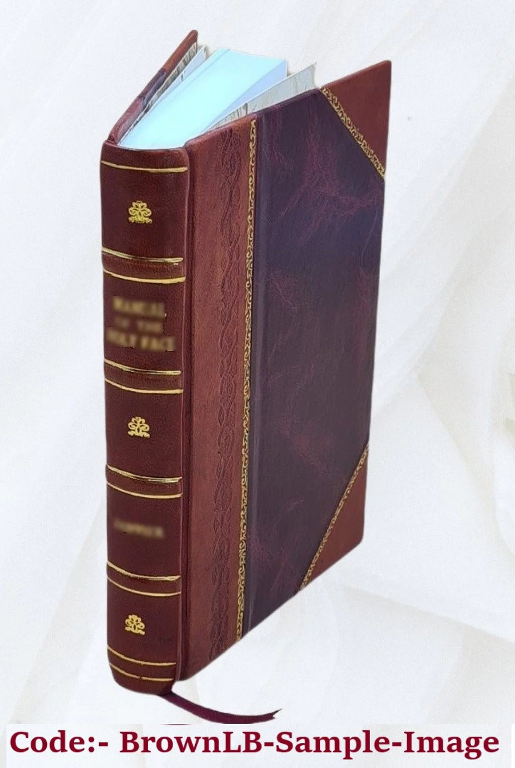 Barbers' Supplies Illustrated Catalogue 1888 Leather Bound F379888