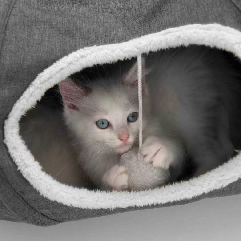 Cat Tunnel T621