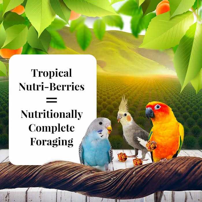 Nutri-Berries C410