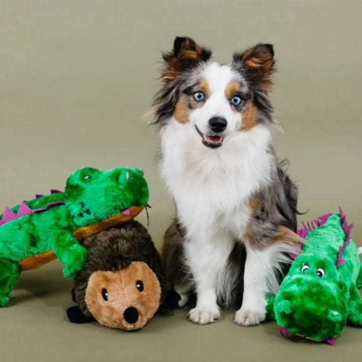 Hedgehog Dog Toy O742610