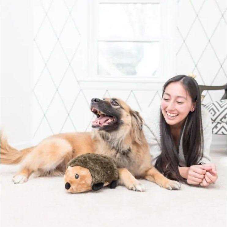 Hedgehog Dog Toy O742610