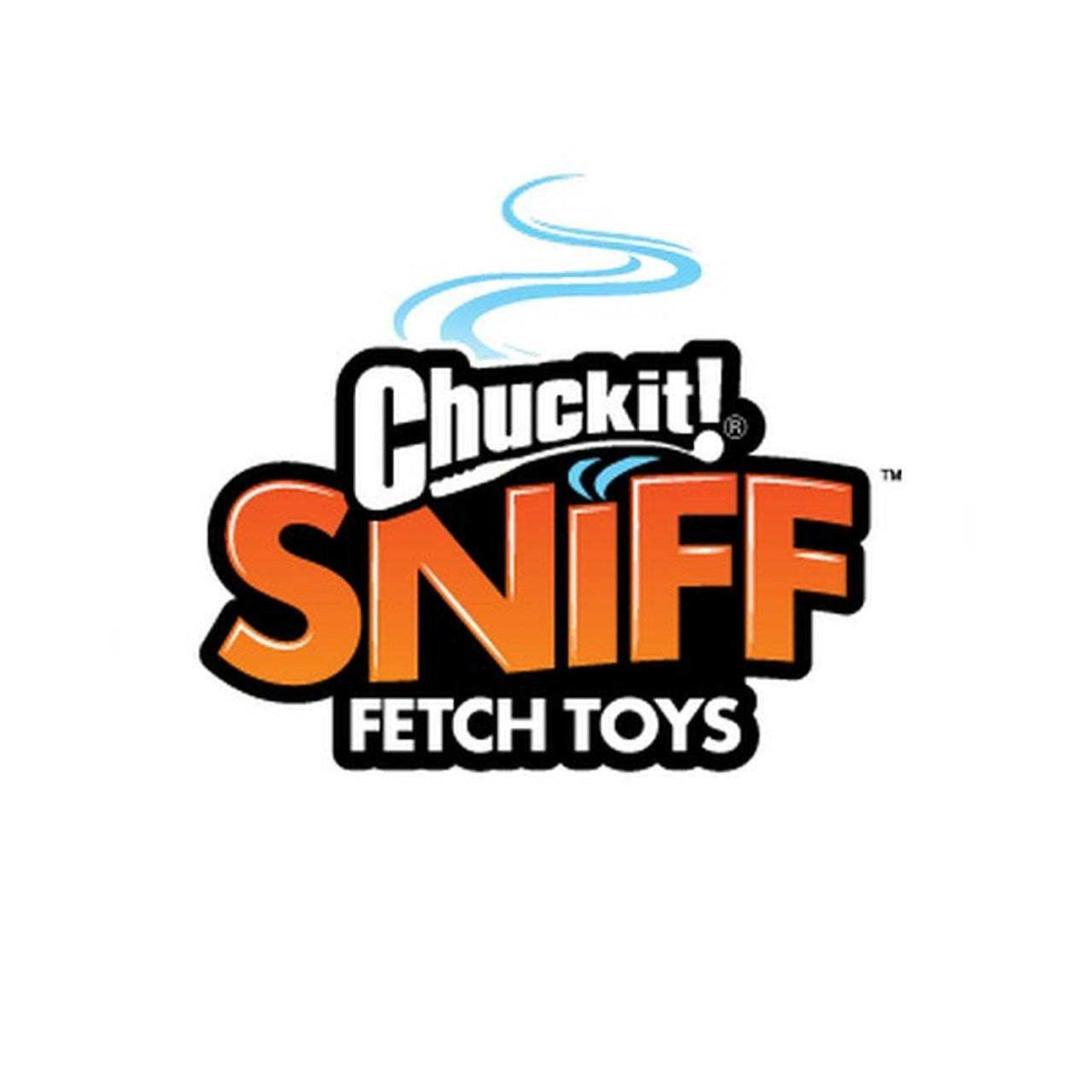Sniff Fetch Ball Dog Toy Z213874