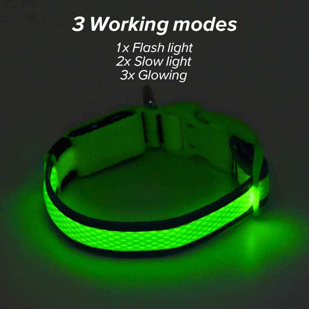 LED USB Rechargeable Dog Collar W2600