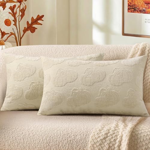 Christmas Chenille Soft Throw Pillow Covers 18x18 Set of 2 T88594