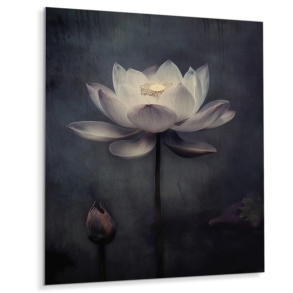 Floral Metal Wall Art Prints W592