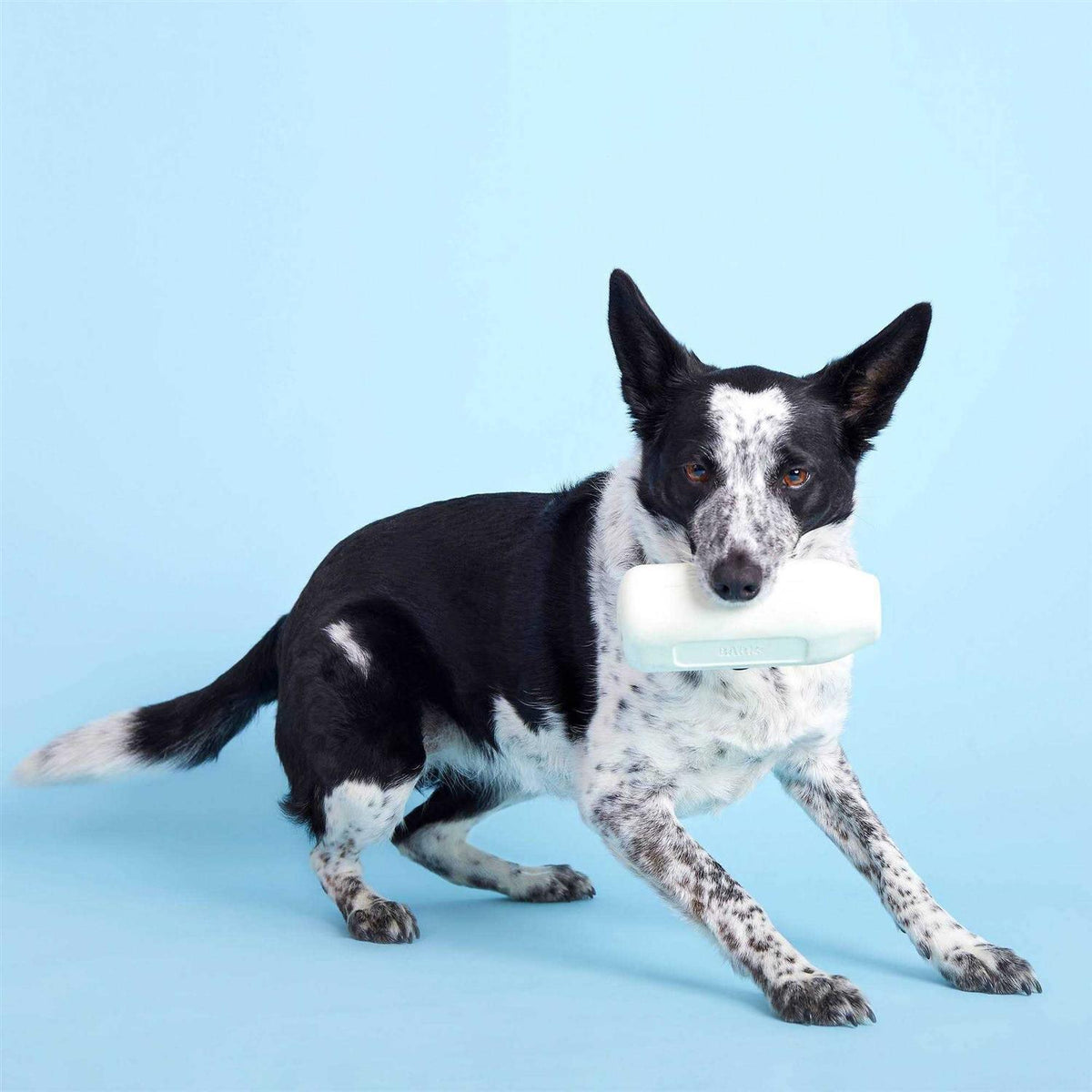 Cow Dog Toy S842