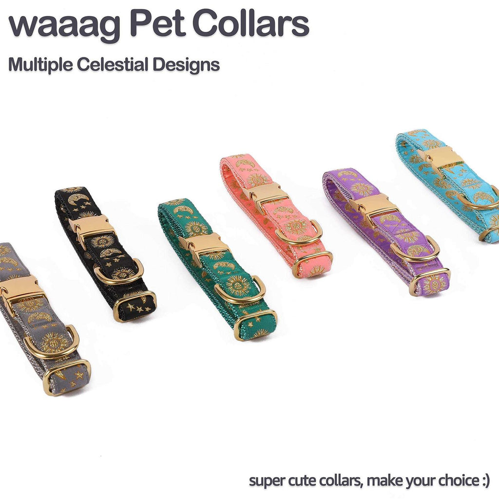 Cat Collar Dog Collar Cat Leash Z4564