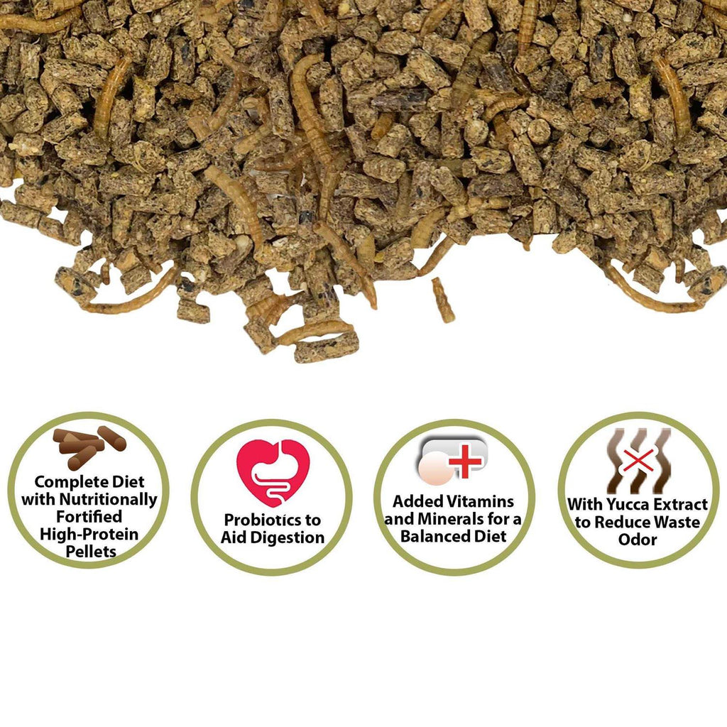 Complete Hedgehog Food Q84995
