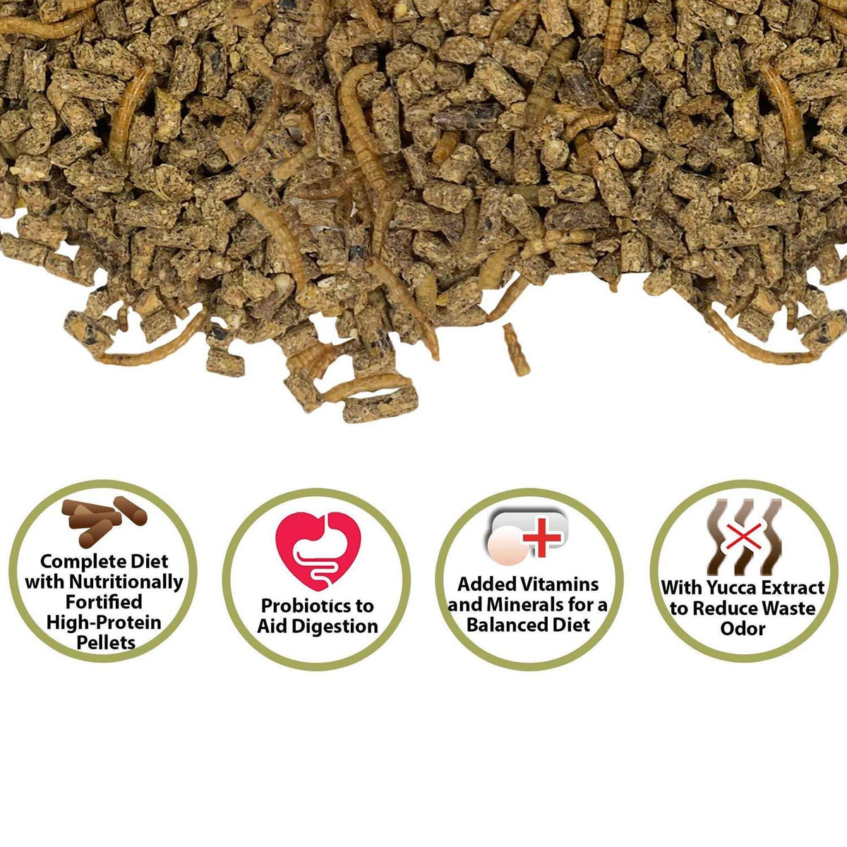 Complete Hedgehog Food Q84995