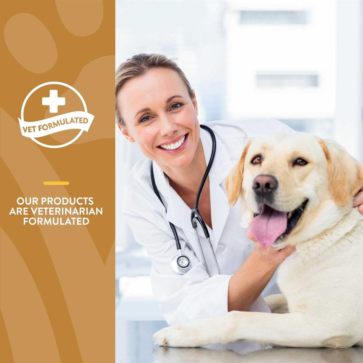 Salmon Oil Soft Chews H4225