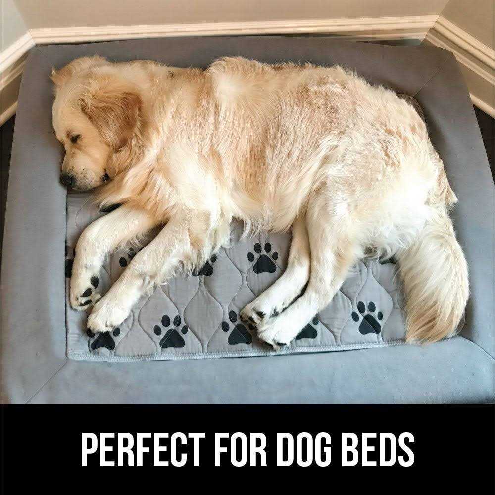 40x26 Slip Resistant Reusable Puppy Pads S521645