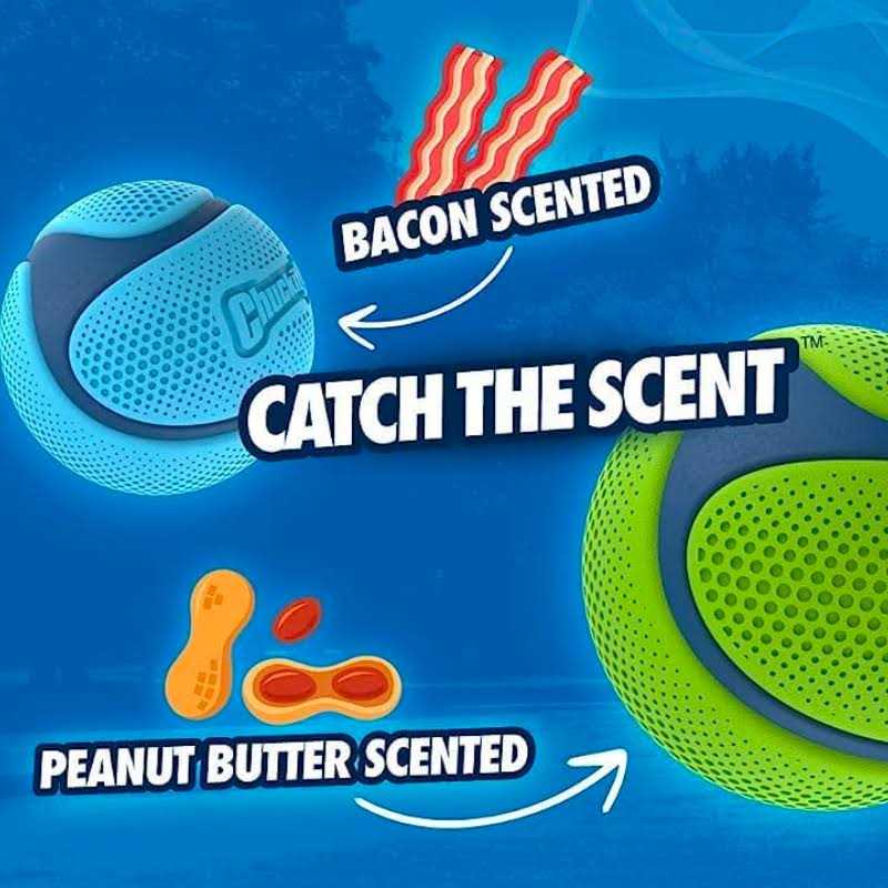 Sniff Fetch Ball Dog Toy Z213874