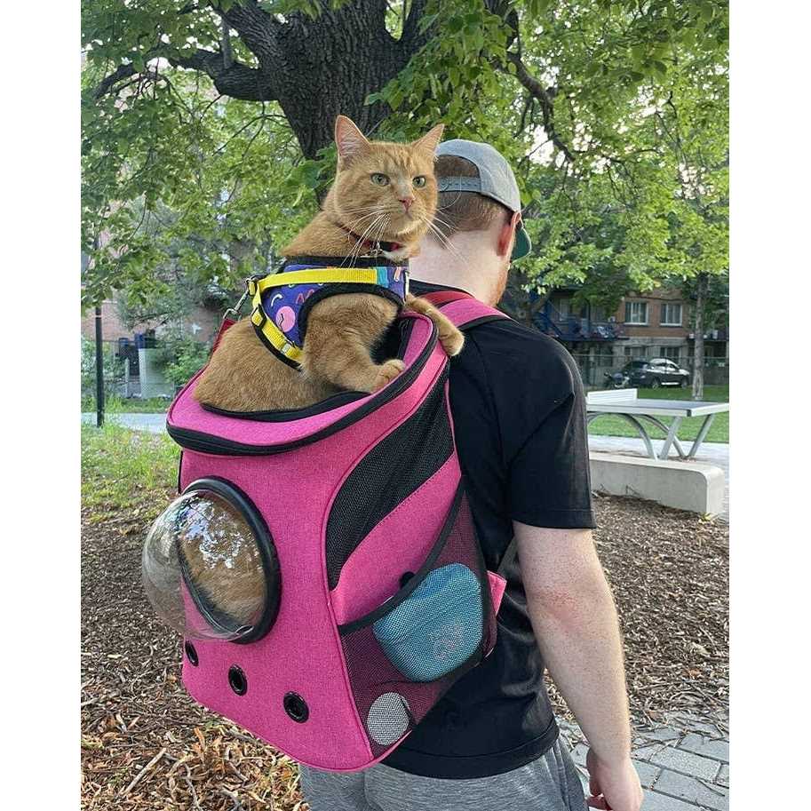 Cat Backpack V659