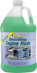 Descaling Motor Flush 1 GAL Pack of 2 W143910