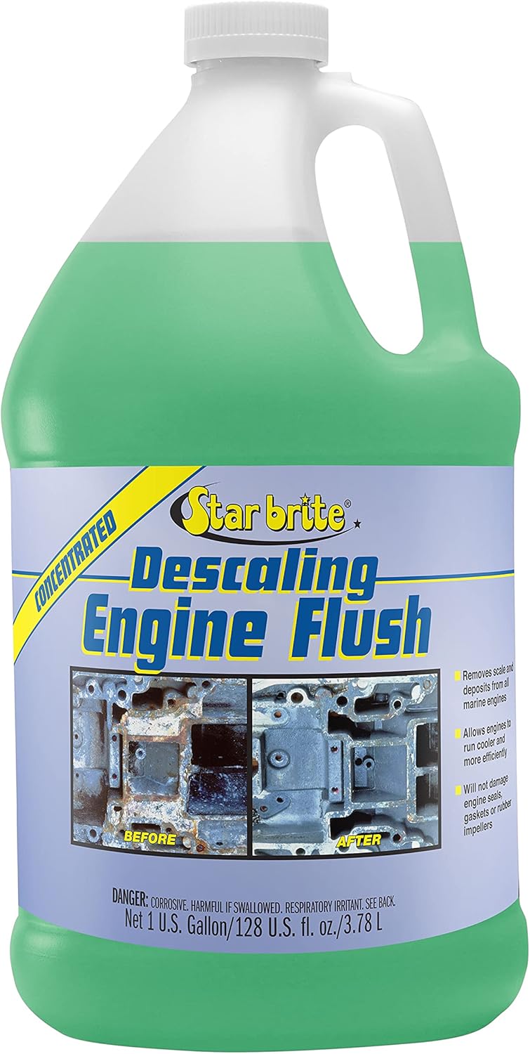 Descaling Motor Flush 1 GAL Pack of 2 W143910