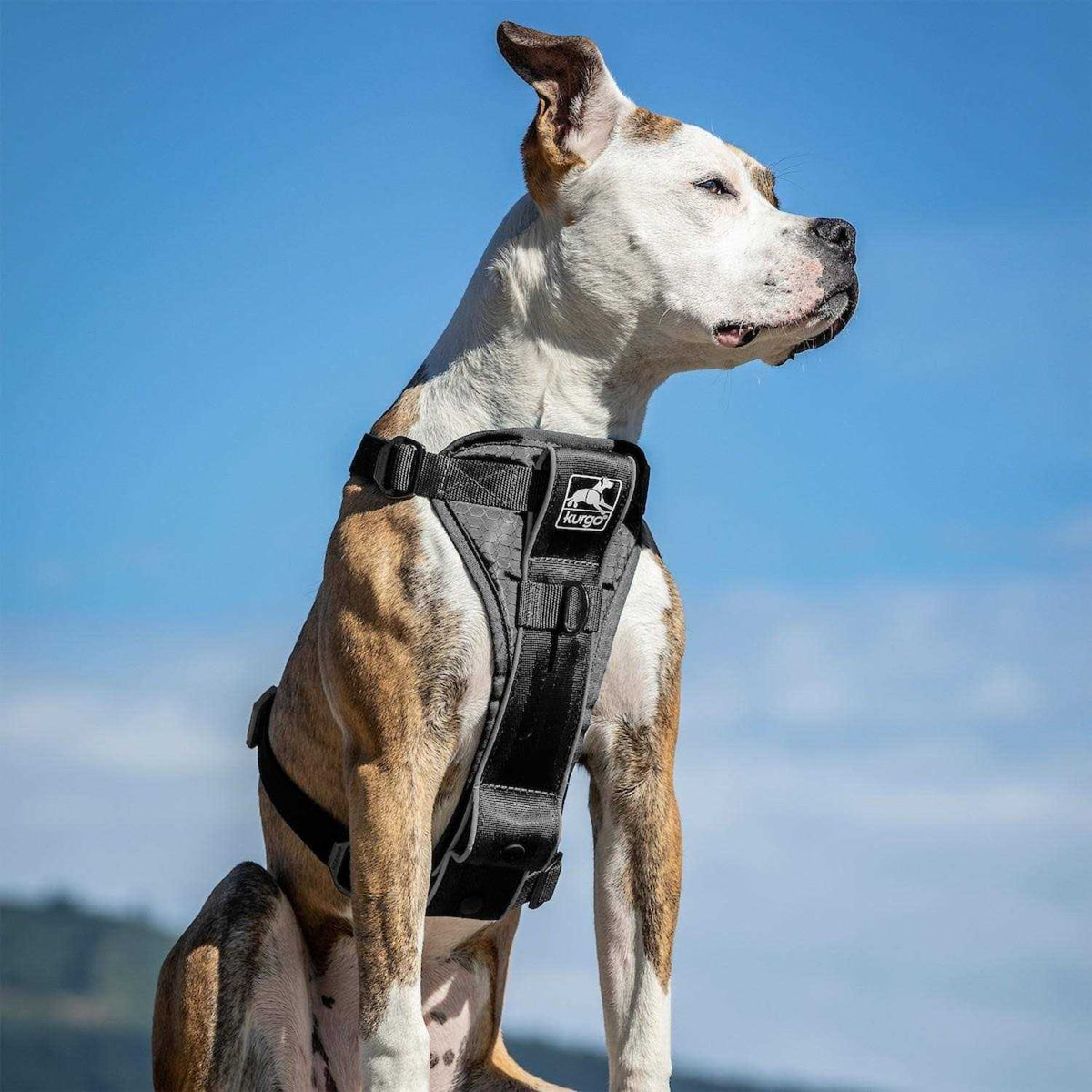 Tru Fit Smart Harness J414690