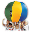 Cover Only Cageball (72-Inch) E597617