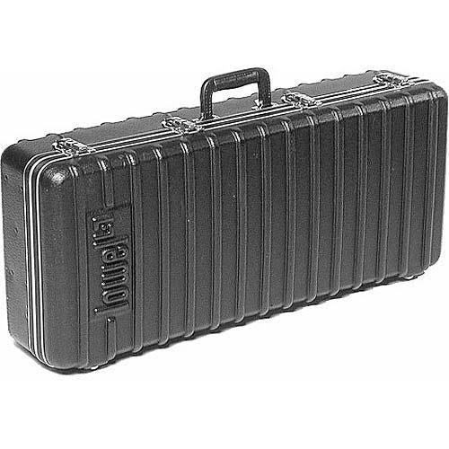 Continuous Light Kit with Case W6731