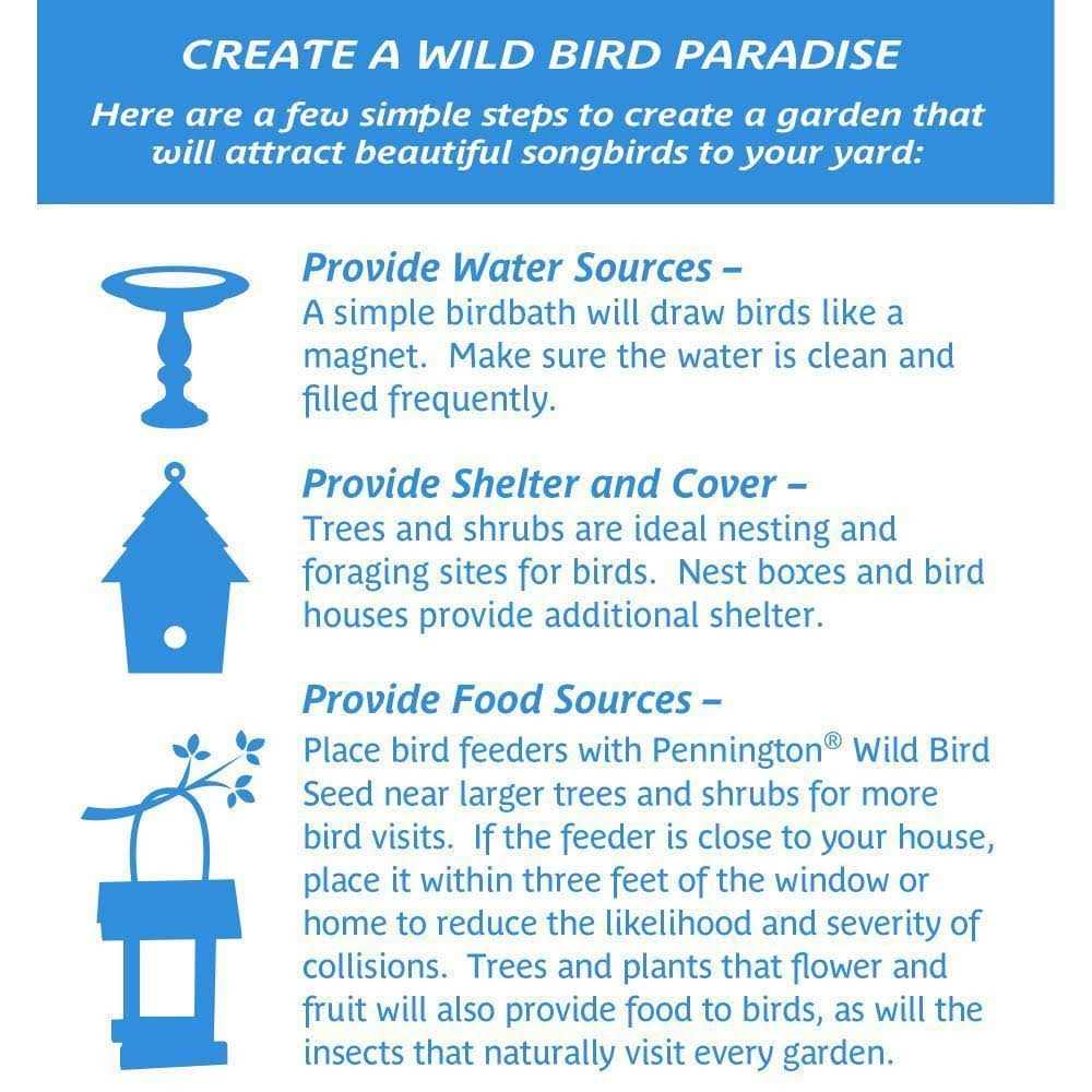 Wild Bird Feed and Seed N43090