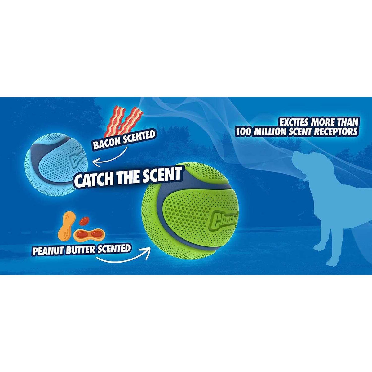 Sniff Fetch Ball Dog Toy Z213874
