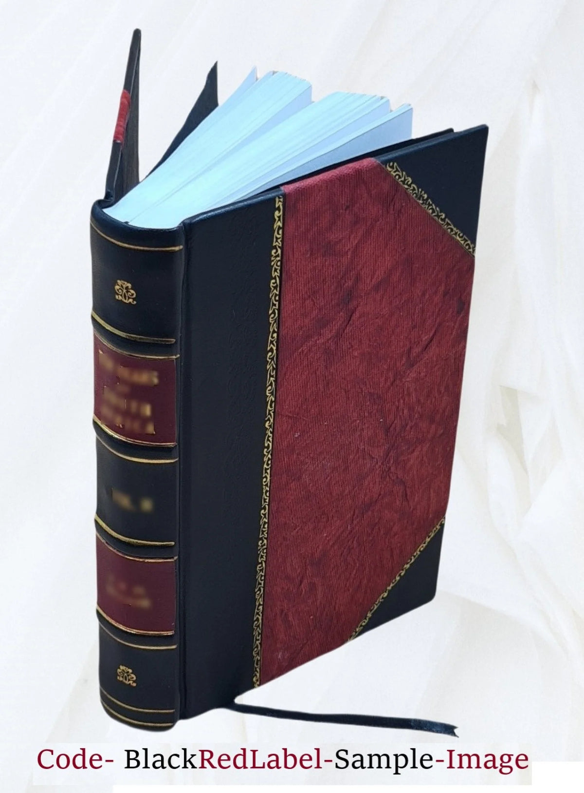 Barbers' Supplies Illustrated Catalogue 1888 Leather Bound F379888