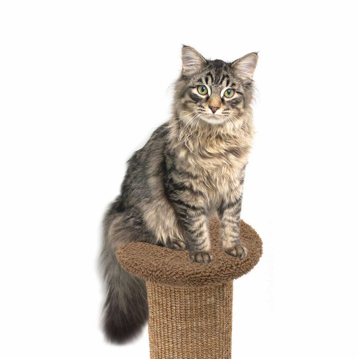 Scratch Post L6622