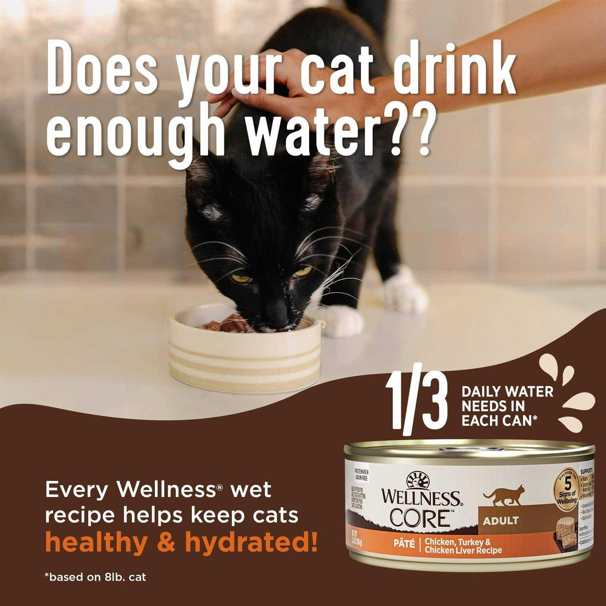 Wet Cat Food Pate Recipe Q518