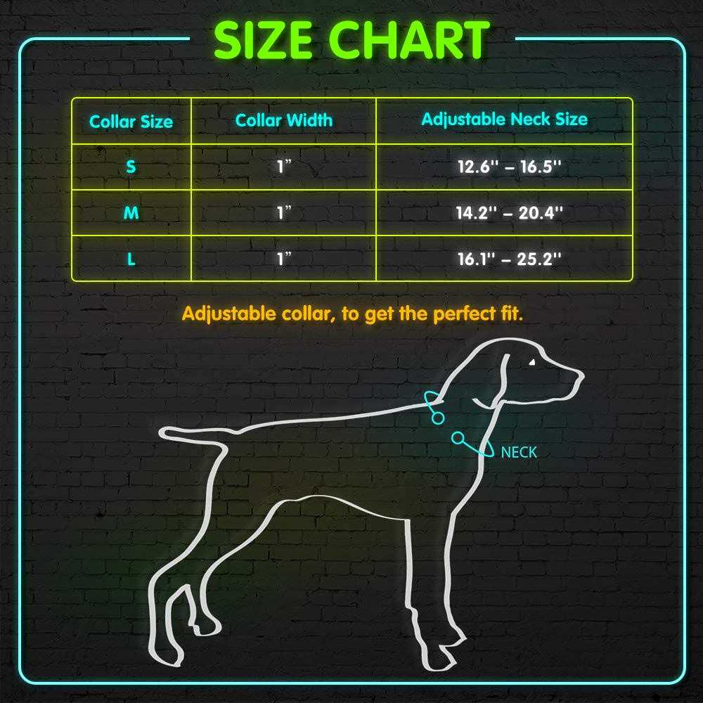 LED USB Rechargeable Dog Collar W2600